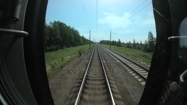 Train travels along rails between trees, railway communications — Stock Video