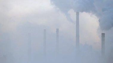 Bir büyük bitki baca sis boru