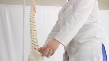 Doktor insan omurga düzenini açıklar