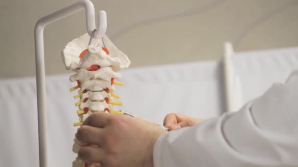 Layout av övre ryggraden av person närbild — Stockvideo