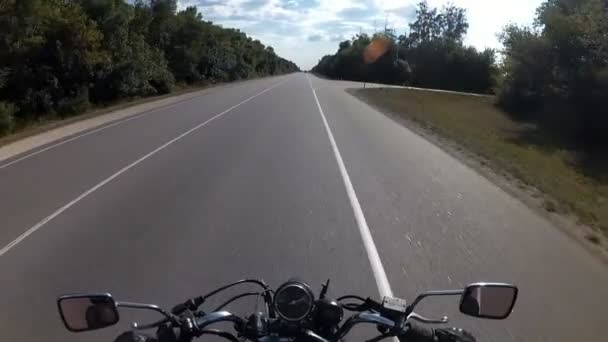 O motociclista dirigindo na estrada entre a floresta — Vídeo de Stock