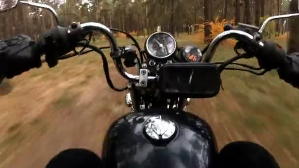 Motociclista en paseos en helicóptero a través del bosque de otoño — Vídeos de Stock