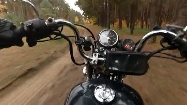 Motocykl chopper stawia na leśnej drodze — Wideo stockowe