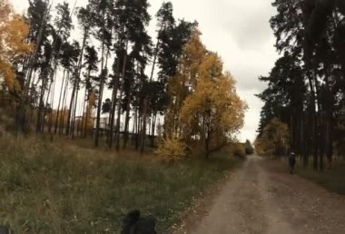 Motorcu otur motosiklet ve rides