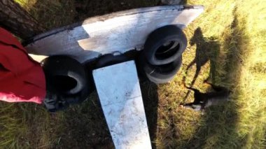 Köpek Doberman bir engel bir eğitim zemin, üstten görünüm atlar.