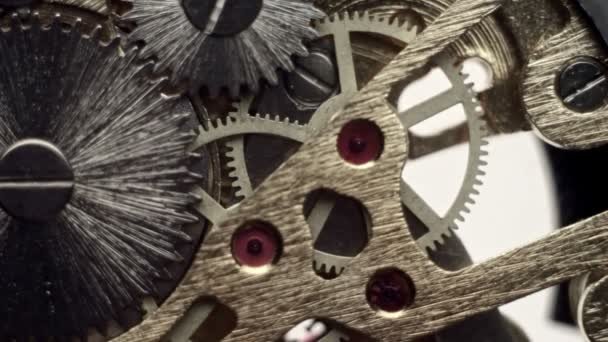 Kugghjulet inuti mekanismen av ett armbandsur — Stockvideo