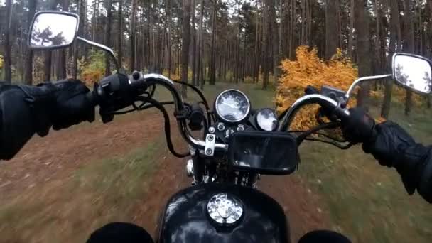 En motorsyklist kjører gjennom skogen, sakte bevegelse – stockvideo