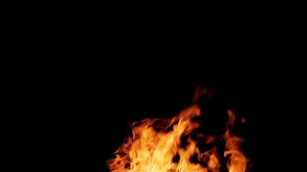 Real fire isolated on black background — Stock Video