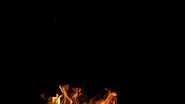 Véritable feu isolé avec fumée sur fond noir — Video