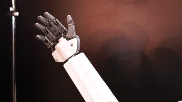 The static robot arm elongated in the direction — Stock Video