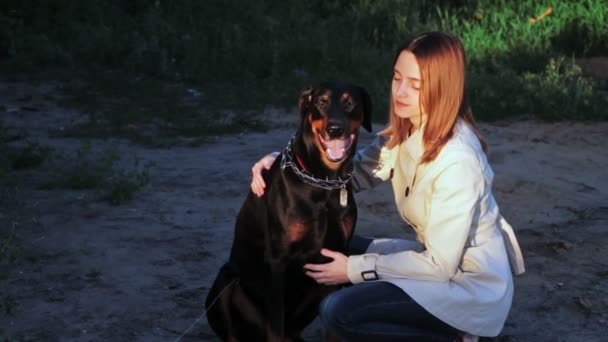 Young girl rubs and kisses my dog breed Doberman — Stock Video