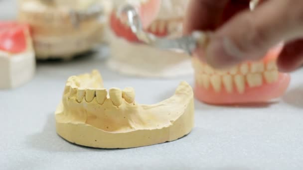 Врач проверяет стоматологический протез на модели челюсти в стоматологической лаборатории — стоковое видео