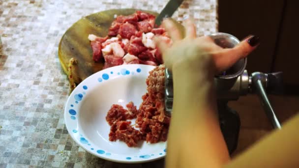 Un piccolo tritacarne manuale viene utilizzato per cucinare carne macinata a casa. — Video Stock