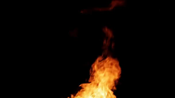 Real fire isolated on black background loop video — Stock Video