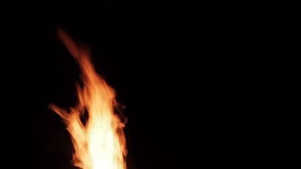 Fuego real aislado sobre fondo negro, video de bucle — Vídeo de stock