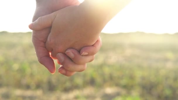 Les mains des amoureux s'accrochent les unes aux autres à la lumière du soleil — Video