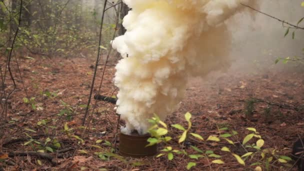 Bomba de humo profesional fuma fuertemente en el bosque — Vídeos de Stock