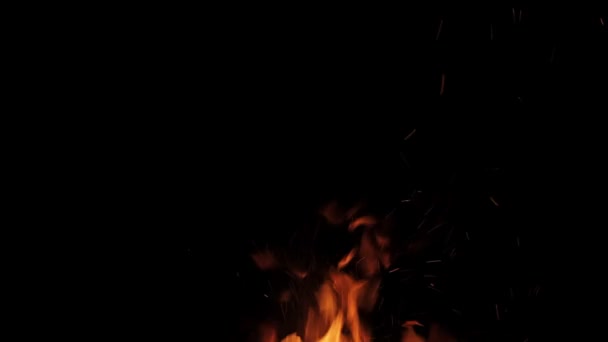 Реальный огонь изолирован на черном фоне — стоковое видео