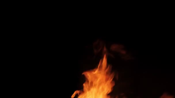 Echtes Feuer isoliert auf schwarzem Hintergrund — Stockvideo