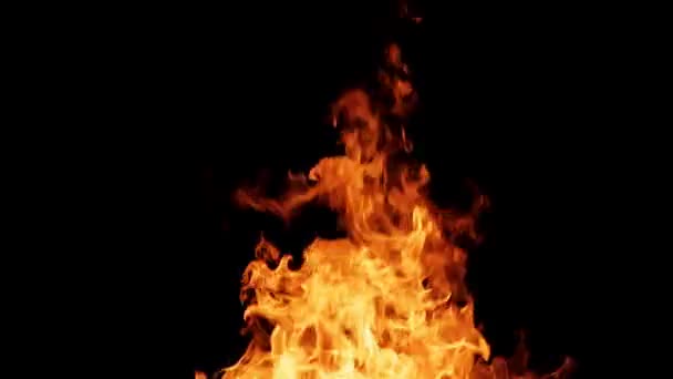 Skutečný oheň izolované na černém pozadí — Stock video