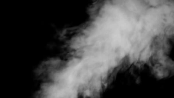 Weißer Rauch auf schwarzem Hintergrund in Zeitlupe — Stockvideo