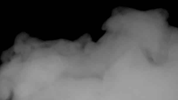 Bílý kouř na černém pozadí zpomalený pohyb — Stock video
