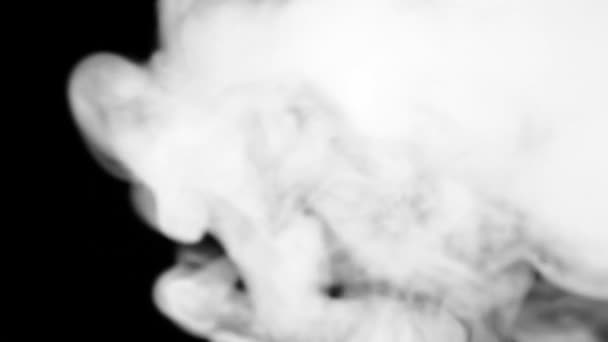 Φωτεινό λευκό καπνό καπνού σε μαύρο φόντο αργή κίνηση — Αρχείο Βίντεο