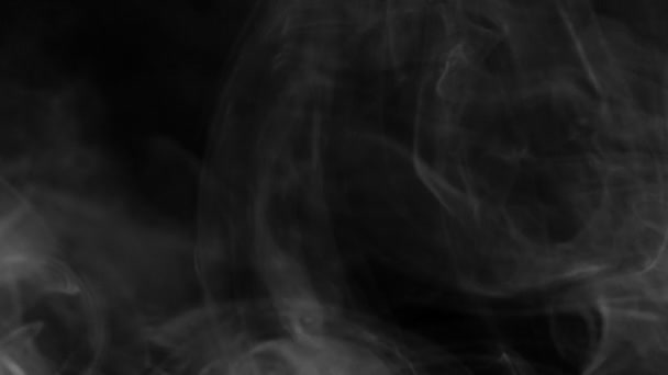 Real white smoke on black background — 비디오