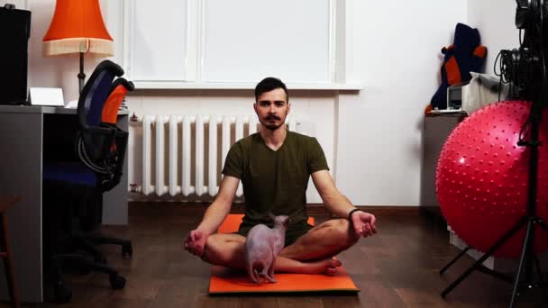 L'homme médite intensément dans un environnement familial que le chat interfère avec lui — Video