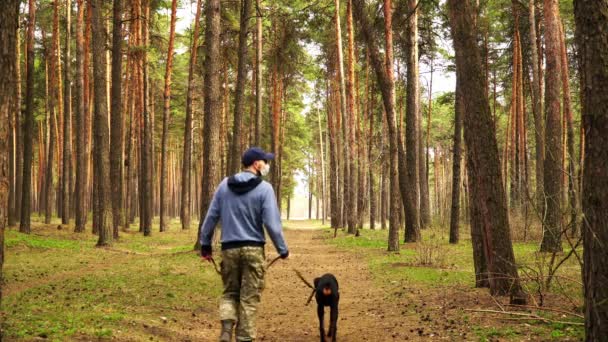 Forêt déserte et un propriétaire d'animal de compagnie couvrant son visage avec un masque médical de protection 