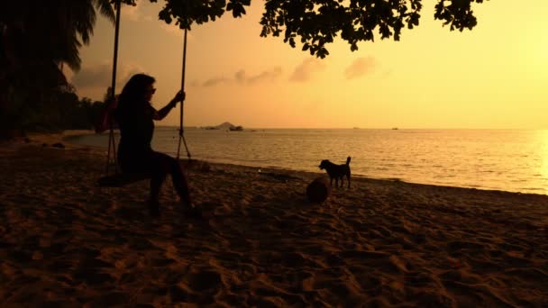 Flicka svänger på gungor vid havet stranden medan solen går ner. — Stockvideo