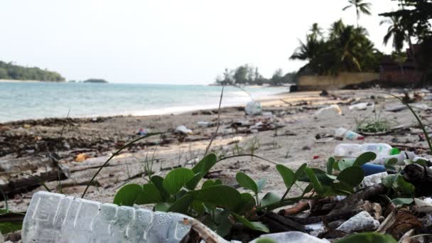 Pohled na plastové láhve a různé odpadky na pobřeží Thajska — Stock video