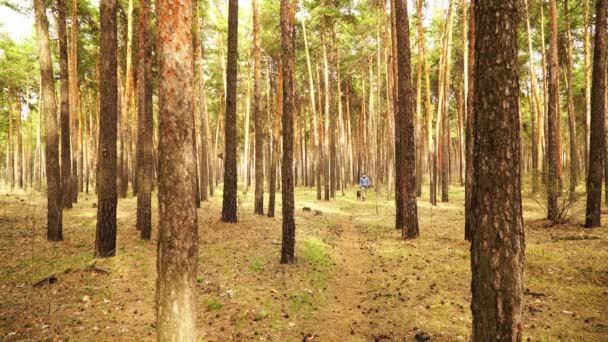 Чоловік в одноразовій медичній масці з великою чорною собакою — стокове відео