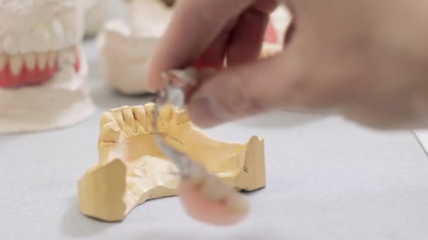 Врач осматривает зубную корону на модели в стоматологической лаборатории — стоковое видео