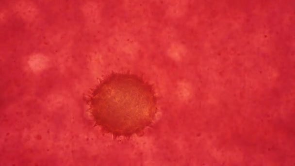 A célula viral de covid-2019 flutuando no sangue vermelho sob o microscópio em maior ampliação — Vídeo de Stock