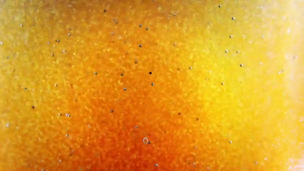 Colonia di larve di artemia salina che si muovono velocemente nel liquido giallo e arancione — Video Stock