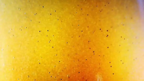 Cheiem de água amarela com pequenos náuplios de larvas de artemia e seus ovos escuros — Vídeo de Stock
