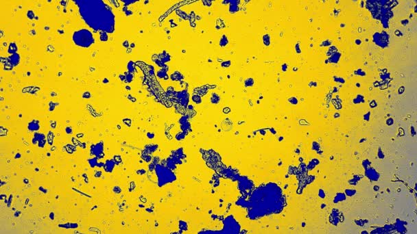 Il tardivo sta nuotando tra pezzi di sporcizia nei colori blu e giallo — Video Stock