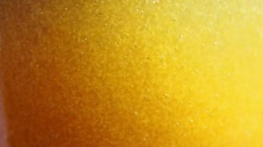 Artemia salina nauplius 'un büyük bir kütlesi hızla sarı sularda akın ediyor.