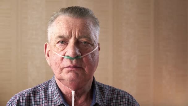 Portrait of an old man with a medical nasal oxygen catheter deep breathing — Stock Video