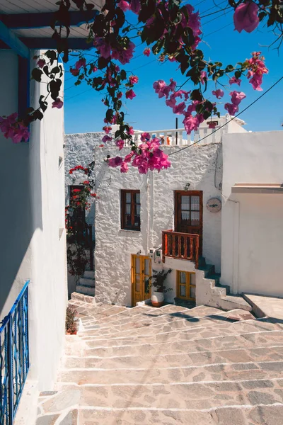 Colorful Summer Village White Buildings Flowers Milos Island Greece — Stock Photo, Image