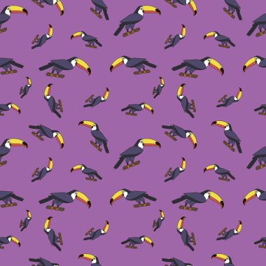 Renkli çizgi film ikonu bir Toucan 'ın kusursuz deseni.