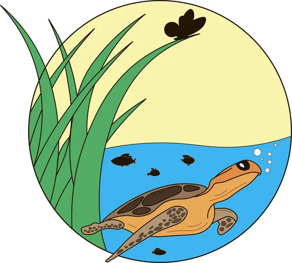 Turtle in lake illustration. — Stock Vector