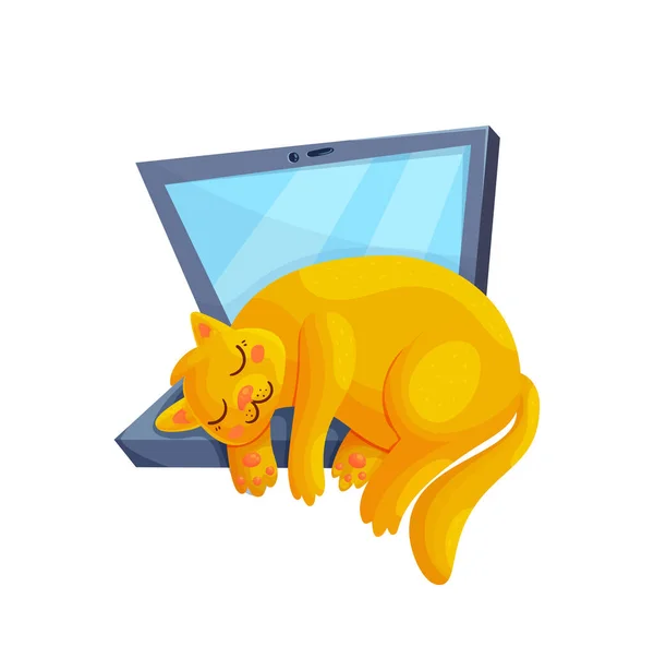 Niedliche schlafende Katze auf Laptop — Stockvektor