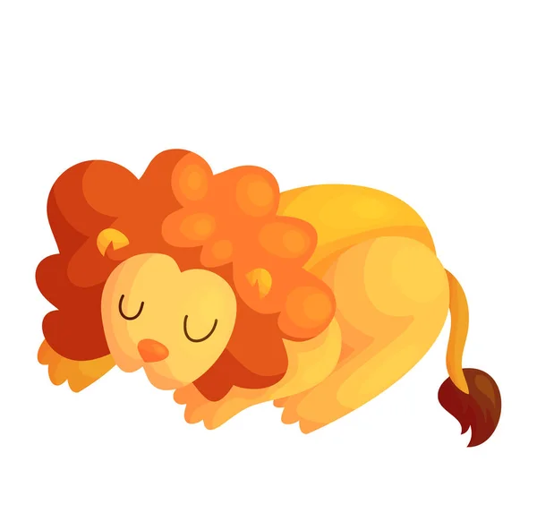 Ωραίο κοιμισμένο λιοντάρι — Διανυσματικό Αρχείο