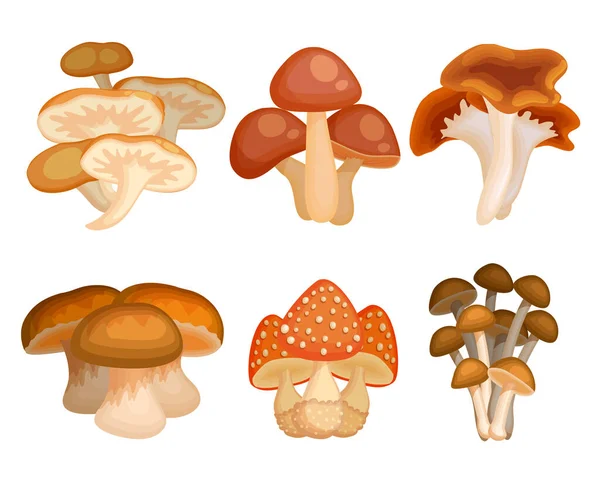Conjunto de cogumelos de desenhos animados —  Vetores de Stock