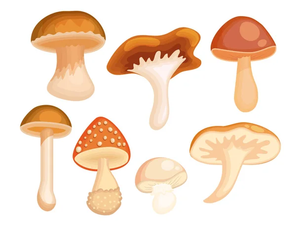 Cartoon mushroom set Stock Illustration