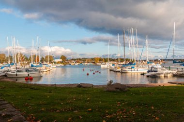 Kotka, Finlandiya: 5 Ekim 2019 - Autumn Park 