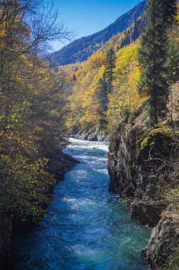 Sonbahar ağaçlarının ortasındaki dağlardaki nehir manzarası. Sonbahar yüksek dağlarda, sonbahar manzarası