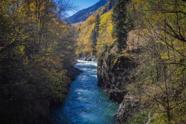 Sonbahar ağaçlarının ortasındaki dağlardaki nehir manzarası. Sonbahar yüksek dağlarda, sonbahar manzarası